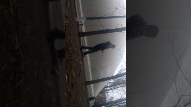 Как вставать на дыбы на вэй борде смотреть онлайн