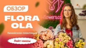Обзор кустовой кенийской розы от Flora Ola | M-Flowers