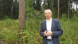 Почему муж изменяет жене