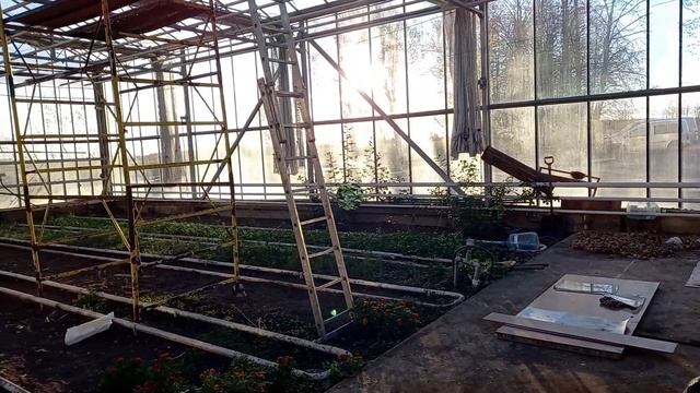 Отель-заповедник «Лесное». Рум-тур, территория и зверушки.Волк и полнолуние.Hôtel réserve naturelle смотреть онлайн