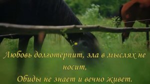 "Мы каждый день экзамены сдаём" - Иван Косован