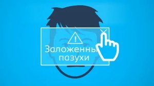 Синуфорте 2014