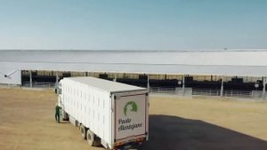 Строительство фермы овец и коз МРС: проекты планы овчарни для овец коз строительство кошары проект