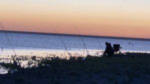 Рыбалка в водохранилище Бугунь  | рыбалка с ночёвкой Туркестанская область