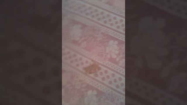 Центр развития ребенка,детская дача искра.Позорище!
