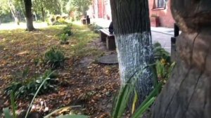 Видеоэкскурсия по Сергиеву Посаду