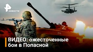 Бойцы ЛНР выбивают националистов из укрепрайонов в Попасной и показывают взятую часть / РЕН Новости