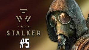 В ЧЁРНОЙ ЗАВОДИ КОЛОДЦА. TRUE STALKER #5