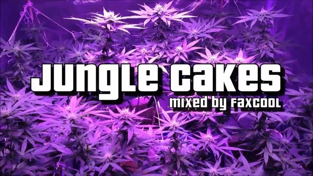 DNB MIX - DRUM AND BASS/REGGAE JUNGLE [VOL.22] (by FaXcooL)