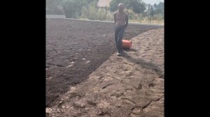 Как посадить ГАЗОН на ДАЧЕ за 1 день. СОСЕДИ БЫЛИ В ШОКЕ #дача #строительство #сад #дачныйвлог #дом