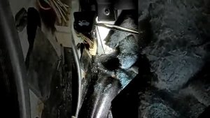Не работают стеклоподъёмники на приоре. Одна из причин.