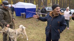В поселке Новый Мамадышского района прошла выставка охотничьих собак породы лайка