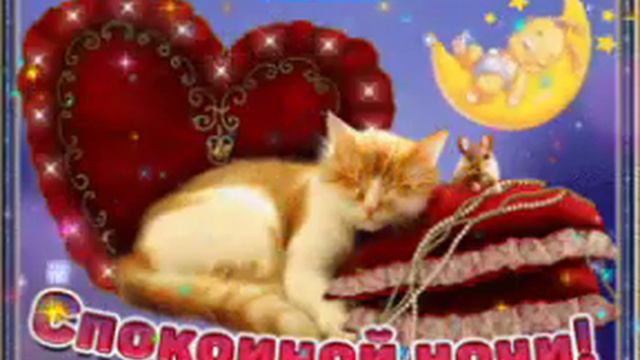 Доброй ночи!