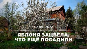 Разбираемся с усадьбой, что где растёт, что посадили и ещё посадим в сезон 2022