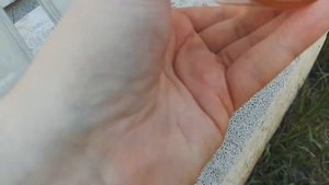 Гранёные стаканы USSR (разновидности)