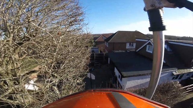 The hedges never end | Day in the life of a tree surgeon смотреть онлайн