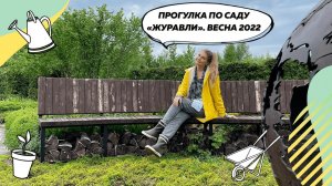 Обзор сада "Журавли" весной | Спиреи | Спирея серая | Пузыреплодники | Малоуходный сад