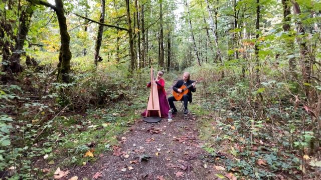 Kusnacht - A Waltz for National Harp Day - Leanne Page, Celtic Harp смотреть онлайн