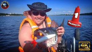 Рыбалка на троллинг на Судака и Щуку.Судачная рыбалка на р.Шексна 1й Выпуск.Лучший отцеп -ТЕСТ!!!