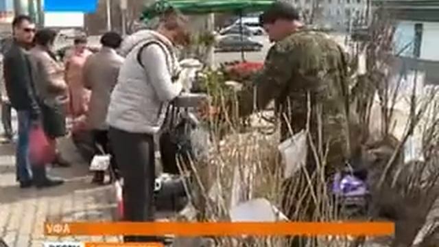 Об продолжении рейдов по соблюдению правил реализации на стихийных рынках смотреть онлайн