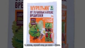 Что можно посадить рядом с вишней