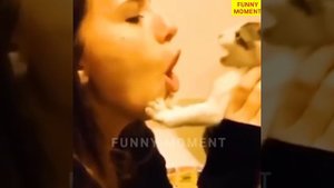 Забавные животные Топ-50 вирусных видео Часть-8, Смешные собаки, Кошки, Домашние животные И вирусные