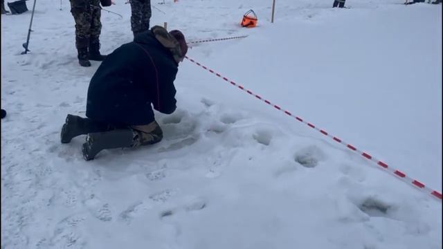 Поимки Основной водоем. смотреть онлайн