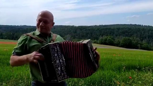 ,,Цыганочка,, исп.Юрий Гафнер.