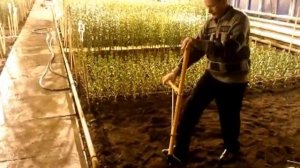 ЧУДО-ЛОПАТА СПИНОРАЗГРУЗОЧНАЯ