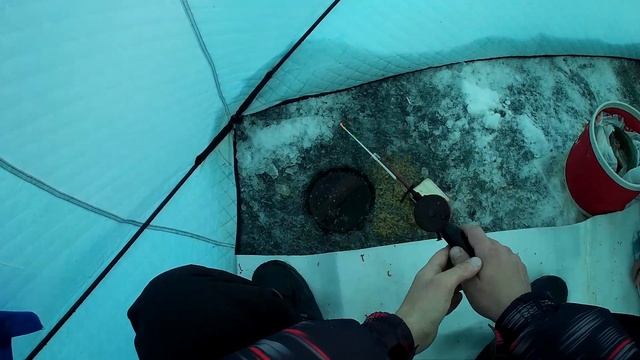 ??Казахстан.Темиртау.Крупный Окунь На Мормышку #рыбалка #темиртау #казахстан смотреть онлайн