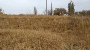 ПОИСК МЕТАЛЛОЛОМА НА СВАЛКАХ! ГДЕ НАЙТИ МЕТАЛЛ? ИЩУ МЕДЬ! ДОБЫВАЮ МЕДЬ!