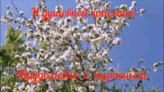 Телец,  с Днем Рождения!