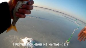 Ищем окуня на Матырском водохранилище