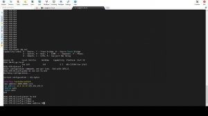 Cisco Switch Port-Security - Clearing a sticky mac address