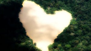 Art of Zen Tinnitus Sound Therapy: Serenity with Crickets 🦗