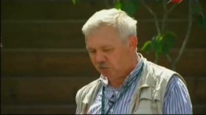 Подготовка почвы и укладка рулонного газона своими руками