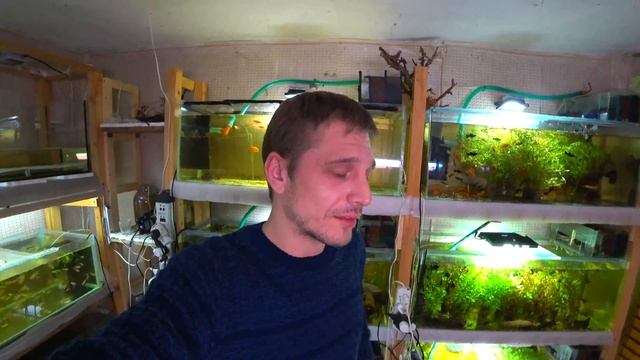 ЧТО ЕСЛИ ОТКЛЮЧИЛИ ЭЛЕКТРИЧЕСТВО!!! смотреть онлайн