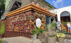 Цветочная композиция. Владивосток