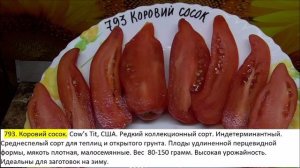 Томаты.  Коллекционные сорта томатов поражают своим вкусом и красотой!