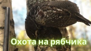 Охота на рябчика.