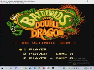 Battletoads_&_Double_Dragon_-_The_Ultimate_Team_(U)