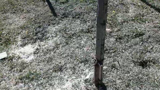 Вольер для кроликов/часть1 смотреть онлайн