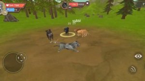 Долина Гигантов: раскрываем тайны Wild Craft