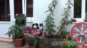 2016 Джубга ул Ореховая Роща,2 А - Видео о гостинице №1