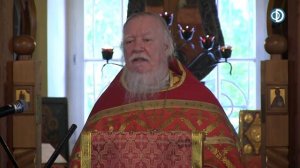 Протоиерей Димитрий Смирнов. Проповедь на неделю 5-ю по Пасхе, о самаряныне