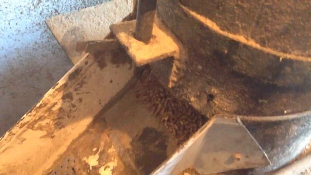 №1 Гранулирования гороха с отрубями! Корм для рыбы! Corning pea bran! Food for fish! смотреть онлайн