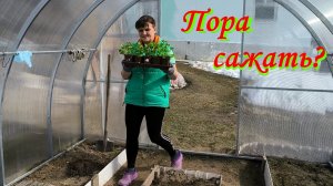 Готовимся к пикировке ТАБАКА. На улице снег_а мы выносим РАССАДУ. Наша жизнь в деревне