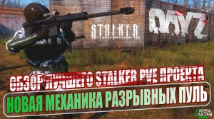 DayZ Stalker | НОВАЯ МЕХАНИКА РАЗРЫВНЫХ ПУЛЬ | ОБЗОР ПРОЕКТА GREEN GARDEN STALKER