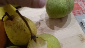 ОБЗОР СОРТОВ ГРУШИ 5-9 СЕНТЯБРЯ