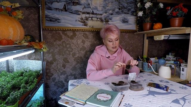 ЭУСТОМА.ПЕРВАЯ ПОДКОРМКА ДЛЯ ЭУСТОМЫ.2021